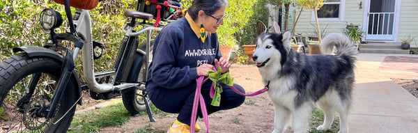 Meet the On-the-Go Pet Pro