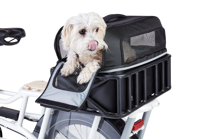 Pet Basket Carrier