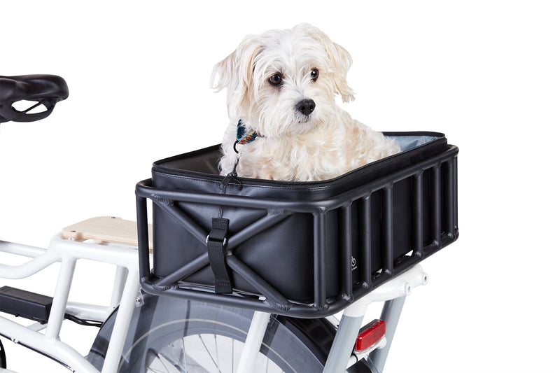 Pet Basket Carrier