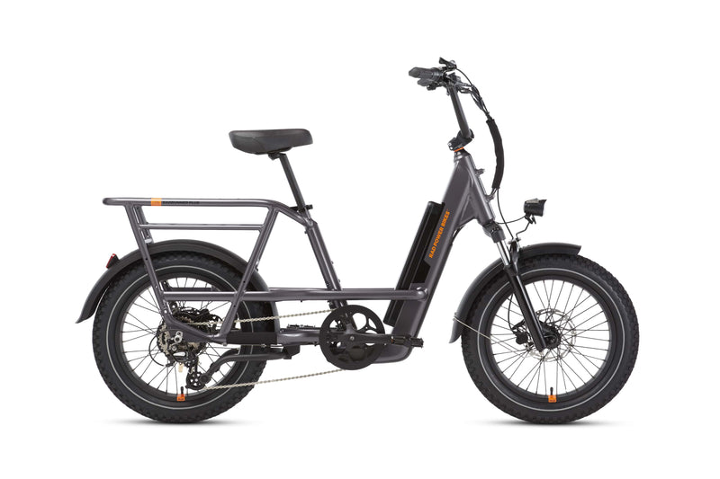 RadRunner™ 3 Plus Electric Utility Bike