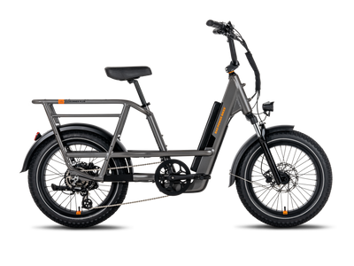 RadRunner™ 3 Plus Electric Utility Bike